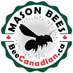 Bee Canadian