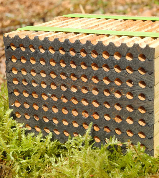 Leafcutter bee nesting block - 8 Tray - 91 nesting holes