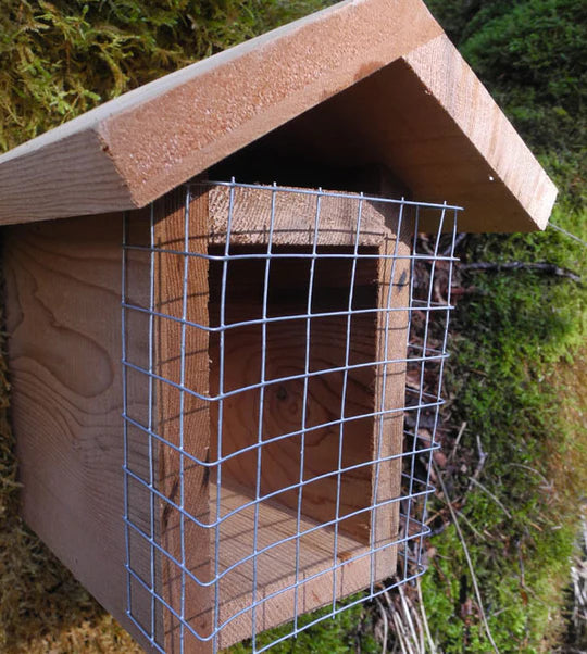 Small Bird Guard Wire Bird Guard – Bee Canadian