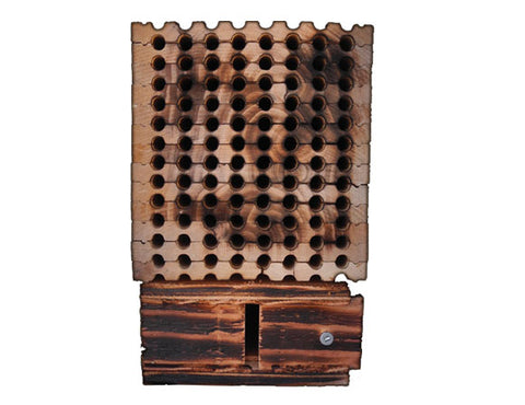 Mason Bee Home 96 hole Insert and Bees
